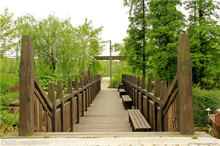 木橋